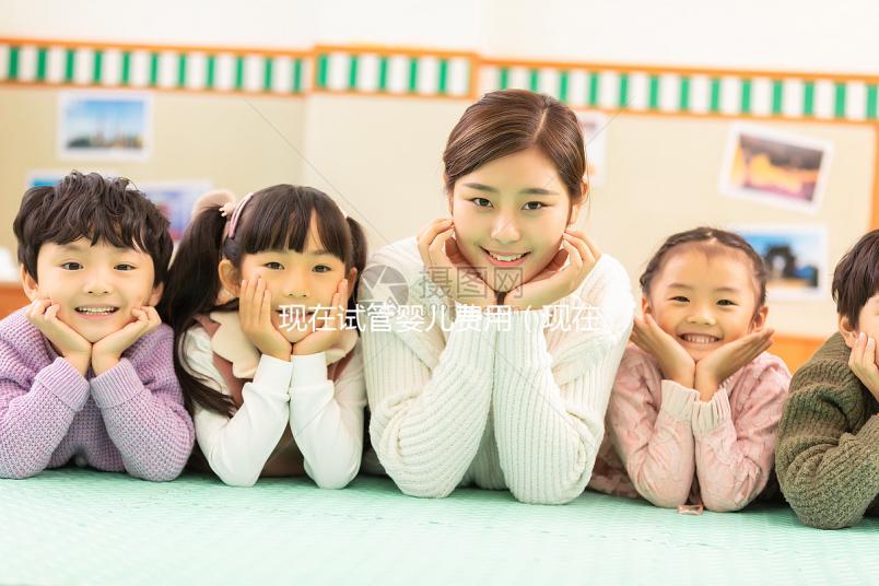 現(xiàn)在試管嬰兒費(fèi)用（現(xiàn)在試管嬰兒費(fèi)用大約多少）