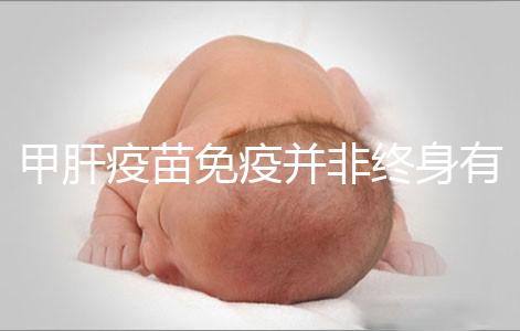 甲肝疫苗免疫并非終身有效,滅活類(lèi)型抗體持續(xù)時(shí)間更久