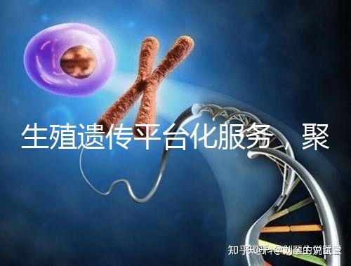 生殖遺傳平臺化服務(wù),聚焦精準(zhǔn)化臨床應(yīng)用