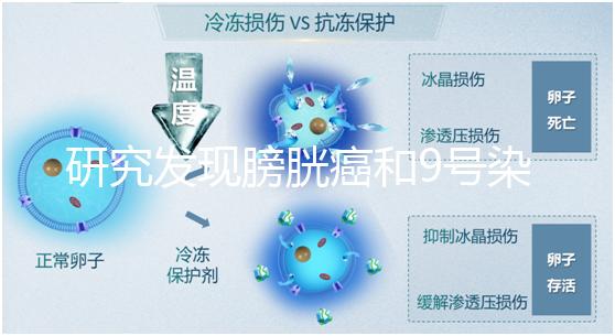 研究發現膀胱癌和9號染色體缺失有關系！