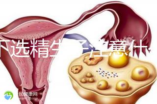 私下選精生子注意什么細(xì)節(jié)要早知，選擇正規(guī)機(jī)構(gòu)最重要