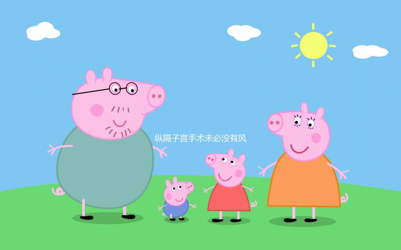 縱隔子宮手術未必沒有風險，必須警惕這4種后遺癥！