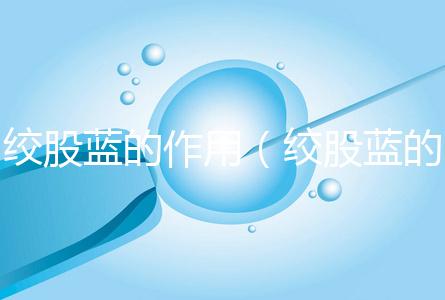 絞股藍的作用(絞股藍的作用與功效)