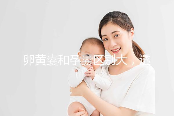 卵黃囊和孕囊區別大,透過B超首次為你揭露其形狀