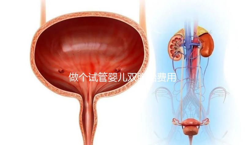 做個試管嬰兒雙胞胎費用大概要多少錢？