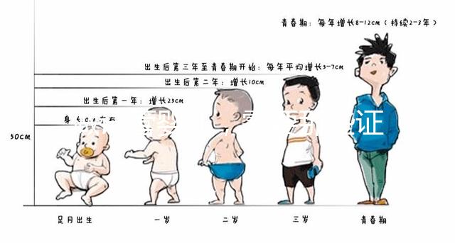 做試管嬰兒，需要那些證件