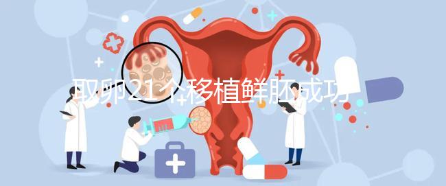 取卵21個移植鮮胚成功率真不低，前提：等卵巢恢復后再手術