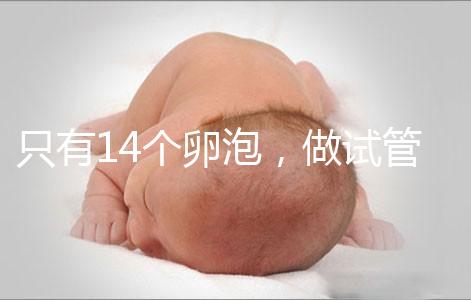 只有14個卵泡，做試管嬰兒到底要不要養囊？
