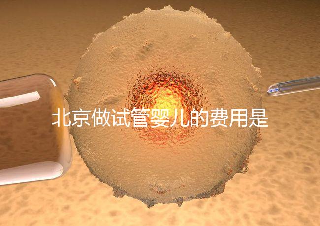 北京做試管嬰兒的費(fèi)用是多少錢？詳細(xì)流程是怎樣的？