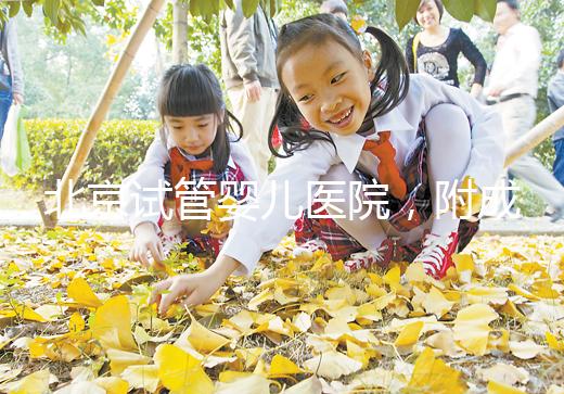 北京試管嬰兒醫(yī)院,附成功率、費用