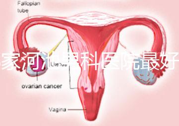 哪家河池男科醫(yī)院最好快速收藏,金城江區(qū)最有名的就在這里