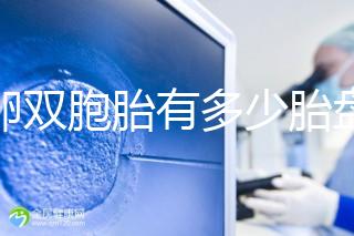 同卵雙胞胎有多少胎盤？1個or2個當場講給你聽