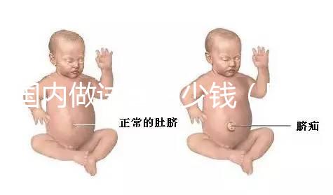 國內做試管多少錢（國內做試管多少錢啊）