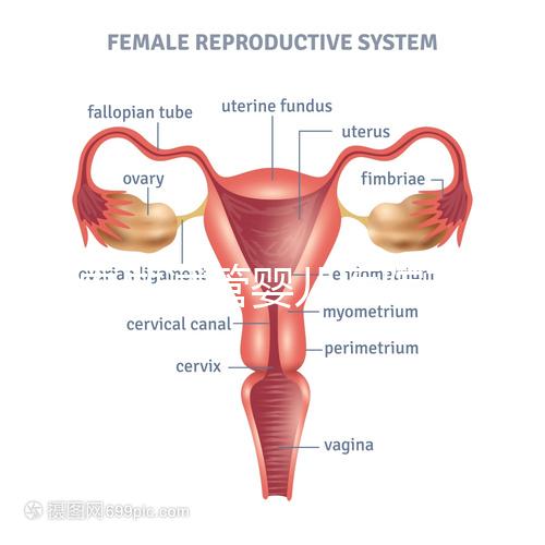 國內做試管嬰兒醫院有哪些？附全國十大試管醫院排名