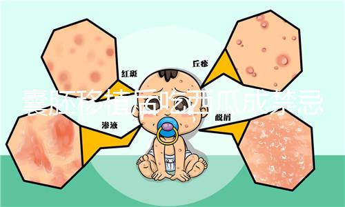 囊胚移植后吃西瓜成禁忌?這5大注意事項(xiàng)建議了解下
