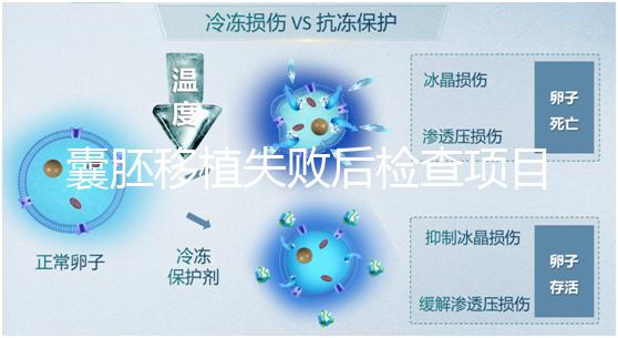 囊胚移植失敗后檢查項(xiàng)目,查免疫、內(nèi)分泌必不可少