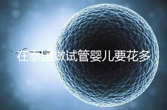 在泰國(guó)做試管嬰兒要花多少錢(qián)？一位助孕顧問(wèn)的深夜坦白