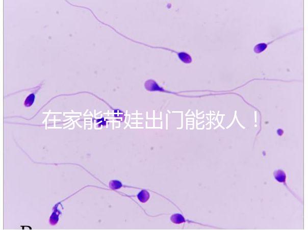 在家能帶娃出門能救人！張云鵬醫生為救人將孩子塞路人