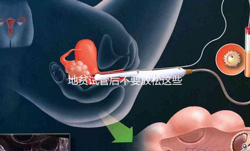 地貧試管后不要放松這些注意事項，不健康的飲食要小心，以前所有的工作都要放棄