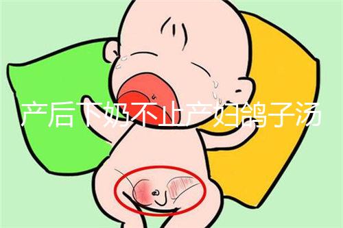 產后下奶不止產婦鴿子湯！坐月子催乳食物大匯總
