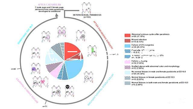 一代、二代、三代人授試管的區別全在這里!還有第四代試管技術!