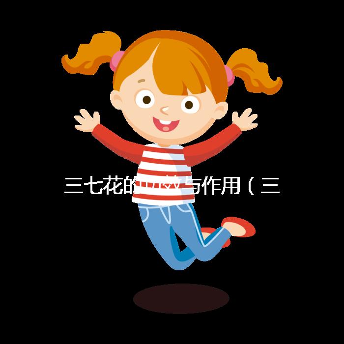 三七花的功效與作用(三七花的功效與作用主治與用量)