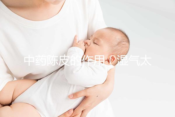 中藥陳皮的作用(濕氣太重的人吃陳皮加什么)