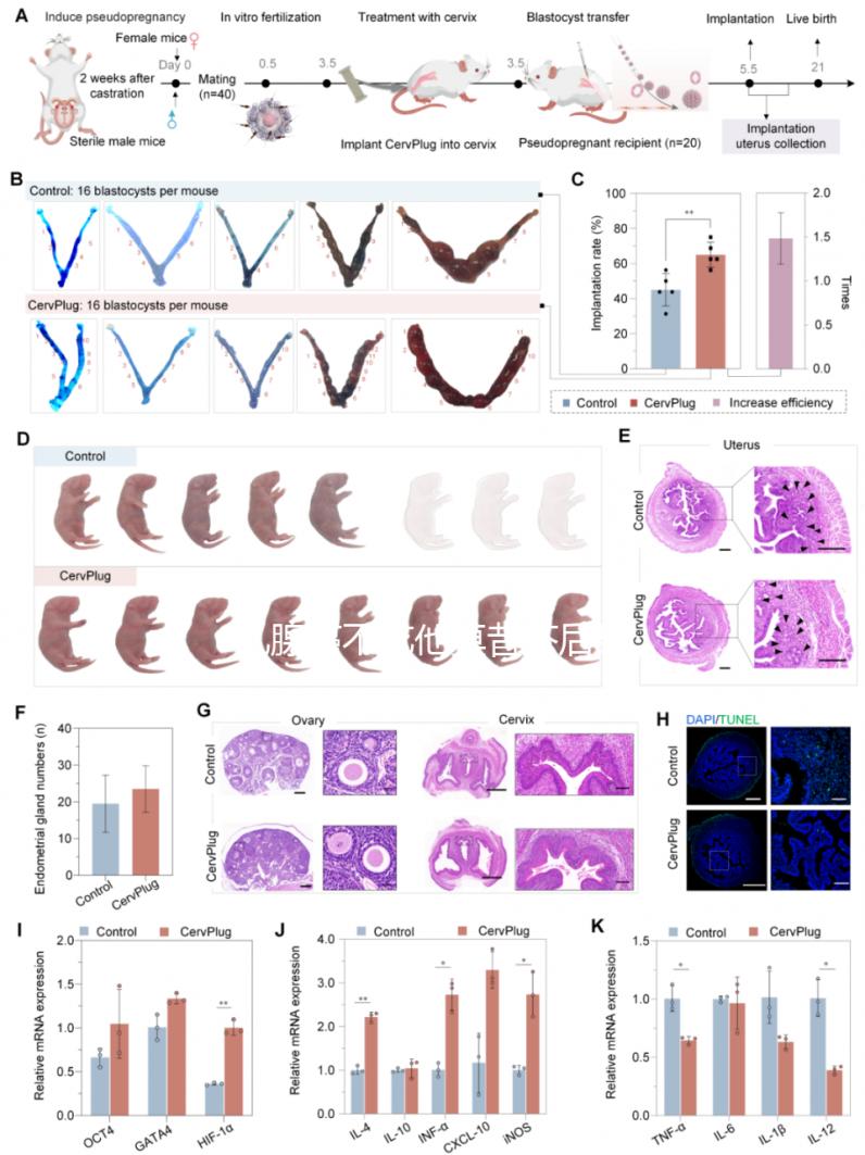 乳腺癌不吃他莫昔芬后果很嚴重，復發僅為其一