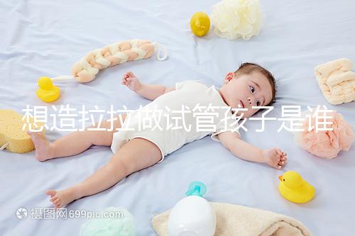 想造拉拉做試管孩子是誰的戳，是否屬于二人看專家怎么說