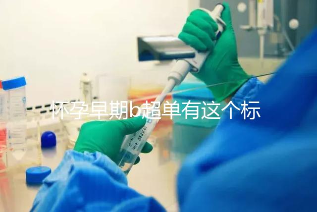 懷孕早期b超單有這個標志一般是女孩，孕囊數據暗藏玄機