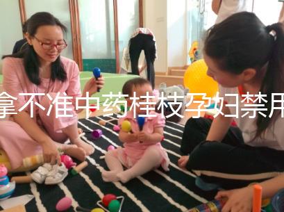 拿不準(zhǔn)中藥桂枝孕婦禁用還是慎用？看完這5大影響就明了