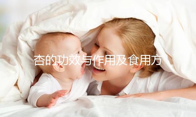 杏的功效與作用及食用方法（杏的吃法大全和功效）