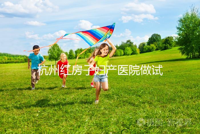 杭州紅房子婦產醫院做試管嬰兒需要多少錢？2025試管價目表曝光（含檢查、促排、移植全流程費用明細）