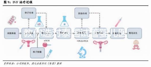 教你選對泰國試管嬰兒醫院,ALL IVF、杰特寧原來是這么回事