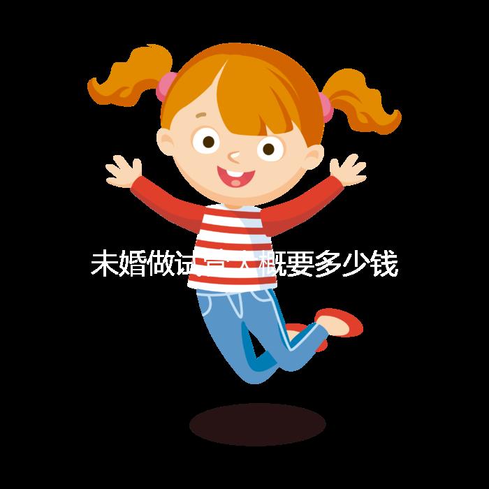 未婚做試管大概要多少錢