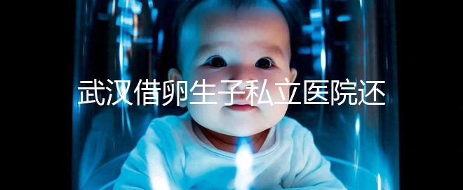 武漢借卵生子私立醫院還得看這幾家，協和、同濟醫院上榜