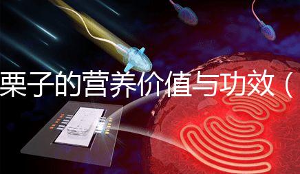 栗子的營養價值與功效(水果栗子的營養價值與功效)