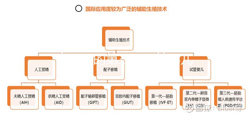 泰國好的第三代試管嬰兒醫院排名前十名：正規醫院名單！