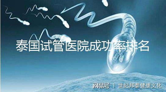 泰國試管醫院成功率排名公布，這些詳細介紹，為您提供選擇參考！