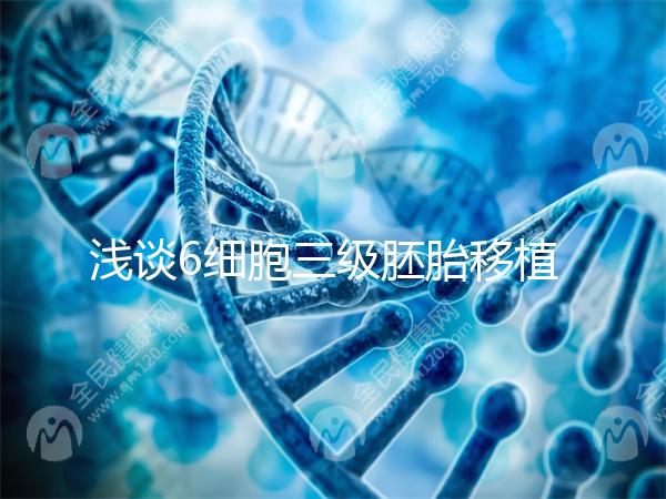 淺談6細(xì)胞三級胚胎移植成功率高低，是養(yǎng)還是移看完便知