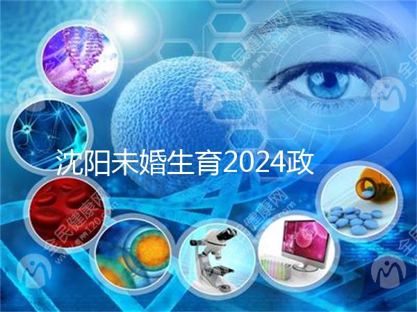 沈陽未婚生育2024政策新鮮出爐,和平區上戶口流程真不復雜