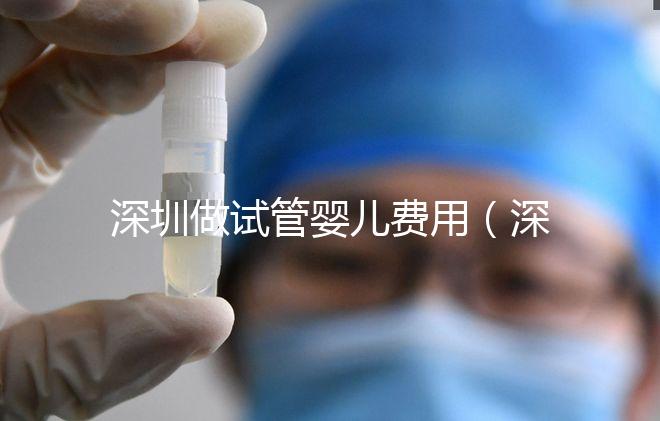 深圳做試管嬰兒費用(深圳做試管嬰兒費用多少人民幣)