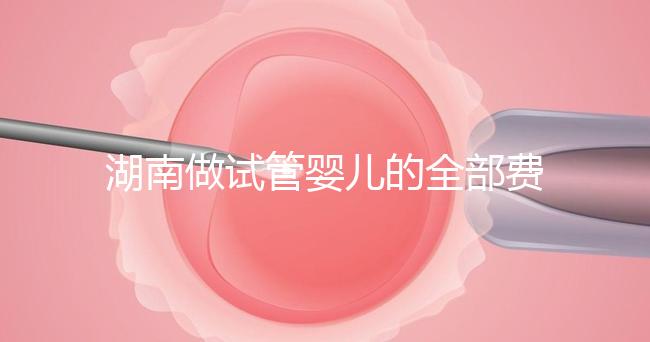 湖南做試管嬰兒的全部費用大概是多少錢？附湖南試管嬰兒醫院排名一覽！