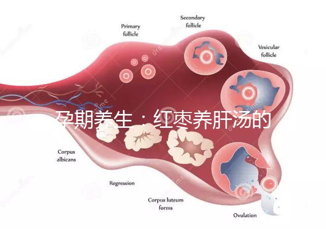 孕期養生:紅棗養肝湯的做法步驟圖解介紹