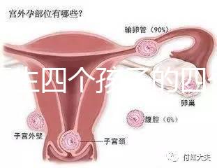 寧夏生四個孩子的四個女孩補貼多少2024年，給2萬元或非謠言