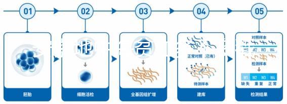 安徽地中海貧血多不多戳，合肥比例低也要早發(fā)現(xiàn)早治療