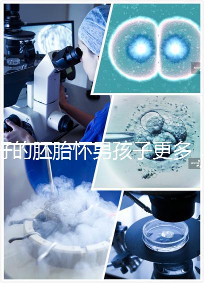 好的胚胎懷男孩子更多，驚呀！什么時候質量決定性別了