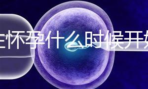 女性懷孕什么時候開始更準確？