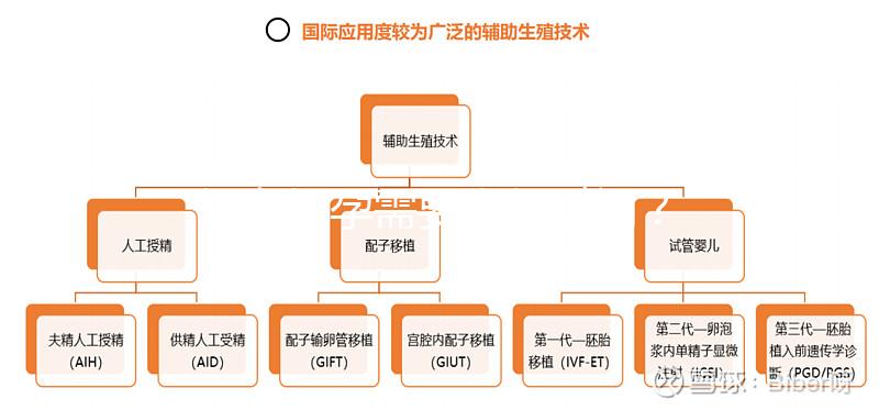 婦女懷孕需要多長時間？