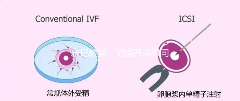 忘記教室、記錯開學時間...開學第一天孩子們囧事分享！